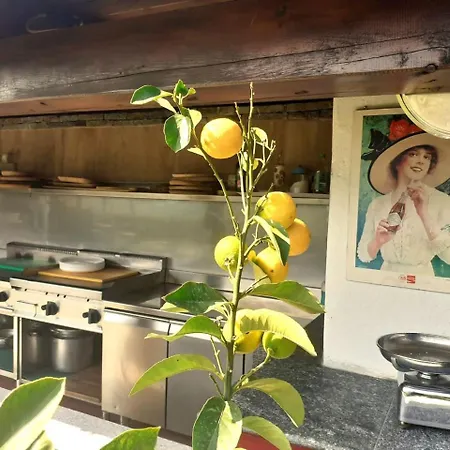 Belvedere Apartment Dubino